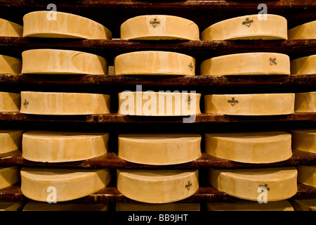 Gewürz-Lager von Käse Fontina Valpelline Italien Stockfoto