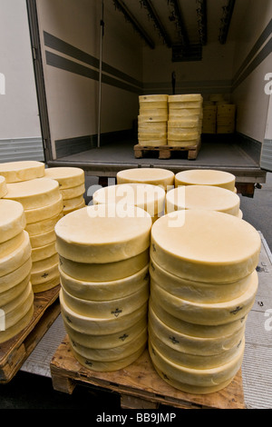 Gewürz-Lager von Käse Fontina Valpelline Italien Stockfoto