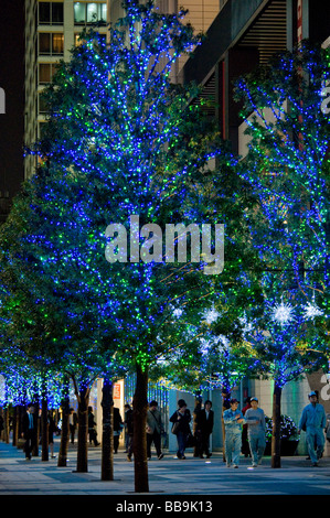 Beleuchtete Bäume in der Nähe von Akiba Tashiro Dori Straße Akihabara Bezirk Tokio Japan Stockfoto