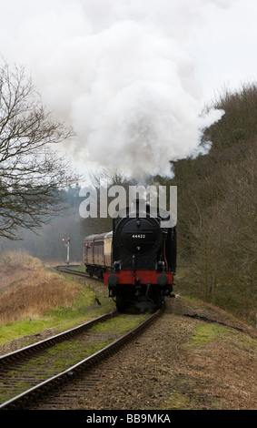 Dampfzug auf der Mohn-Linie Stockfoto