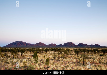 Blick über die Spinifex Ebenen zu Kata Tjuta (die Olgas).  Uluru-Kata Tjuta National Park, Northern Territory, Australien Stockfoto