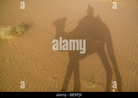 Indien Rajasthan Jaisalmer Schatten von einem Kameltrekking in den Sanddünen der Kanoi Region nahe der Grenze zu Pakistan Stockfoto