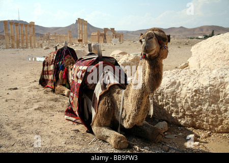 Monumentale Bogen und colonnaded Straße Palmyra Syrien Stockfoto