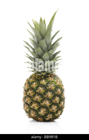 frische Ananas Stockfoto
