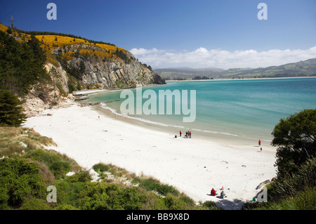 Strand von Ärzten Punkt von Mapoutahi historischer Maori Pa Ort nördlich von Dunedin Südinsel Neuseeland betrachtet Stockfoto