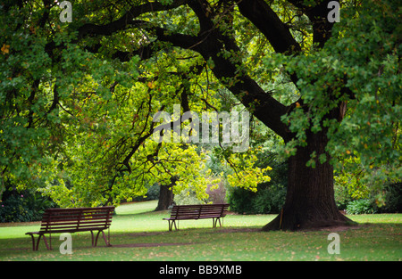 Royal Botanic Gardens Melbourne South Yarra Victoria Australien Stockfoto