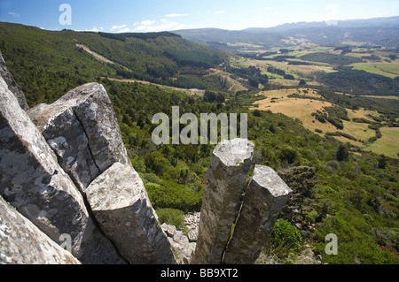 Die Orgelpfeifen vulkanischen Felsen Basaltsäulen Mt Cargill Dunedin Otago Neuseeland Südinsel Stockfoto