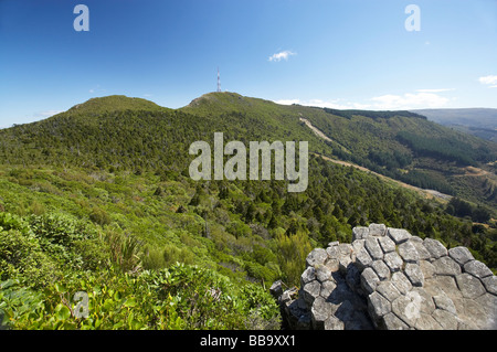 Die Orgelpfeifen vulkanischen Felsen Basaltsäulen Mt Cargill Dunedin Otago Neuseeland Südinsel Stockfoto