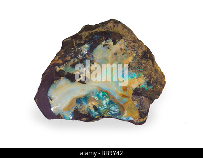 Opal-Probe, Boulder Opal auf weißem Hintergrund Stockfoto