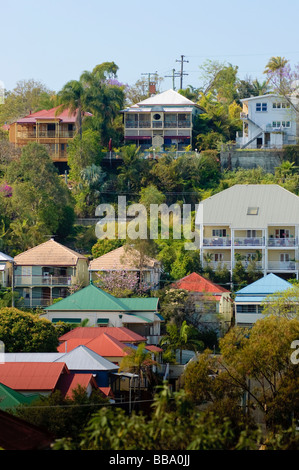 Bunte Queenslander befindet sich auf einem steilen Hügel in Paddington, Brisbane, Queensland, Australien Stockfoto