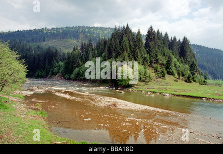 Fluss in Karpaten Stockfoto