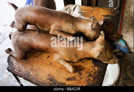 ganze Hunde Fleisch zum Verkauf (Thit Cho), Hanoi, Vietnam. Stockfoto