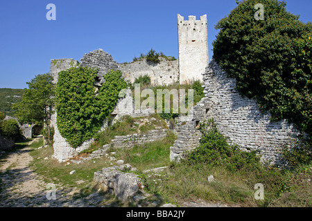 Ruinen von Dvigrad Schloss, aus dem 17. Jahrhundert, mittelalterliche Stadt, Rovinj, Istrien, Kroatien Stockfoto