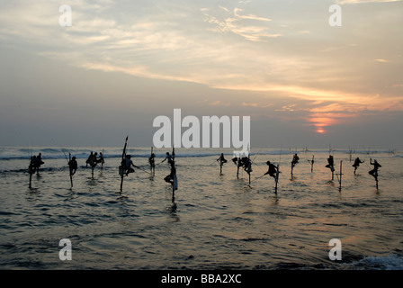 Stelzenfischer Fischer, Sonnenuntergang, auf Stelzen Angeln im seichten Wasser, Indischer Ozean, Ceylon, Sri Lanka, Südasien, Asien Stockfoto