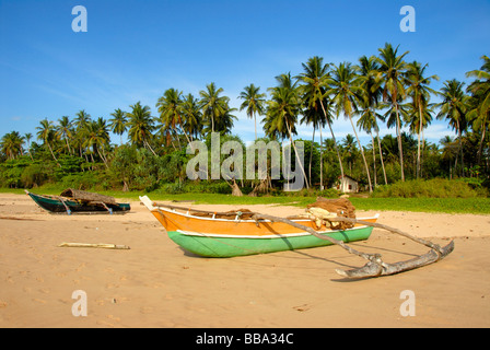 Angelboote/Fischerboote mit Ausleger am Sandstrand gesäumt von Palmen, Talalla bei Dondra, Ceylon, Sri Lanka, Indischer Ozean, South Stockfoto