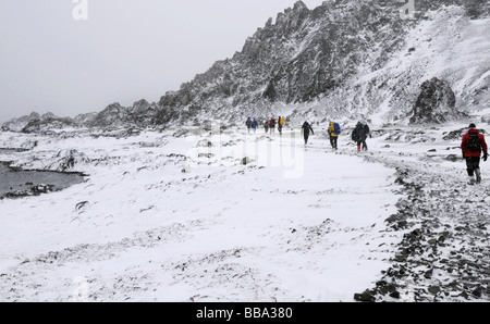 Wandern über den Strand auf King George Island in der Nähe von Bellingshausen-Station in der Antarktis Expedition-Team-Mitglieder Stockfoto