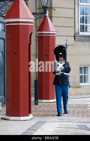 Dänische Königliche Wache auf Amalienborg, Kopenhagen, Dänemark, Europa Stockfoto