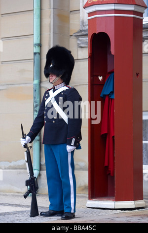 Dänische Königliche Wache auf Amalienborg, Kopenhagen, Dänemark, Europa Stockfoto