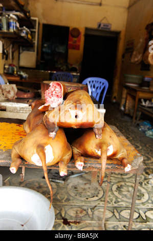 ganze Hunde (Thit Cho) für Verkauf, Hanoi, vietnam Stockfoto