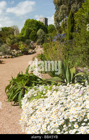 Norfolk Ruston alte Pfarrhaus Garten kalifornischen Ostgrenze und Wüste waschen im Frühjahr Stockfoto