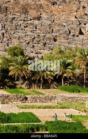 Oman-Ghool Dorf und Kulturen zu Beginn des Wadi Nakhr und Wadi Ghool in der Dhakiliya Region Oman Stockfoto