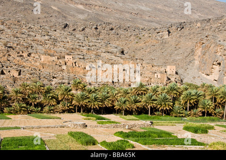 Oman-Ghool Dorf und Kulturen zu Beginn des Wadi Nakhr und Wadi Ghool in der Dhakiliya Region Oman Stockfoto