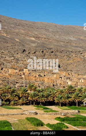 Oman-Ghool Dorf und Kulturen zu Beginn des Wadi Nakhr und Wadi Ghool in der Dhakiliya Region Oman Stockfoto