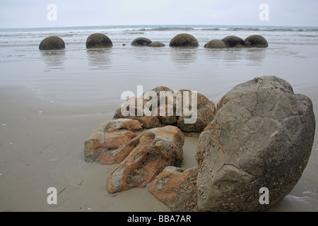 Felsbrocken am Moeraki, Südinsel, Neuseeland Stockfoto