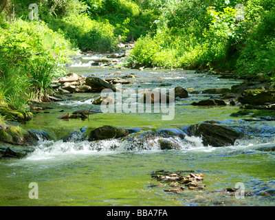 Fluss Valency hetzen über Felsen bilden einen kleinen Wasserfall und umgeben von grünen Bäumen, in Boscastle Stockfoto