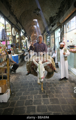 Alter Mann auf einem Esel in den Souk in der Altstadt von Aleppo Syrien Stockfoto