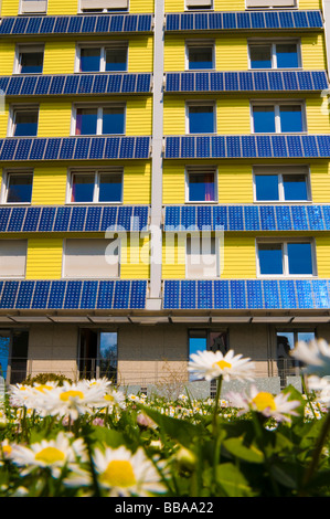 Wohnhaus mit Sonnenkollektoren und Gänseblümchen Stockfoto