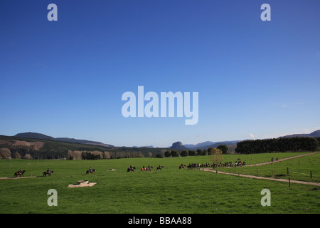 Jagd auf dem Pferderücken über farmland Stockfoto