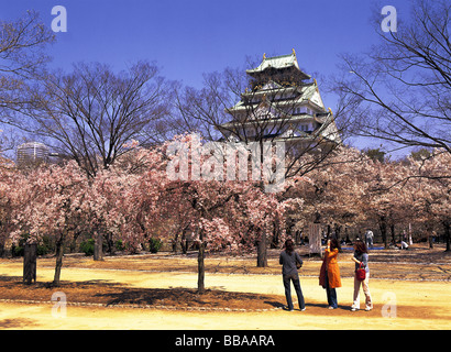 Kirschblüten in voller Blüte vor Burg von Osaka, Japan Stockfoto