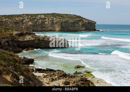 Die zerklüftete Küste von Pennington Bay.  Kangaroo Island, South Australia, Australien Stockfoto