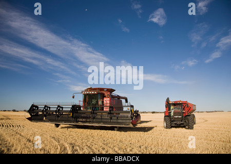 Ein Mähdrescher und Traktor in einem Feld Stockfoto