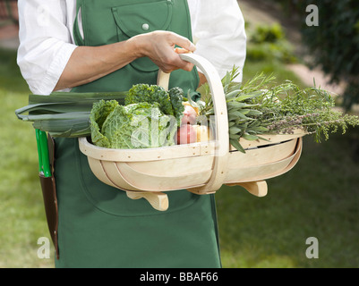 Mittelteil eines Mannes hält einen Korb mit Gemüse Stockfoto