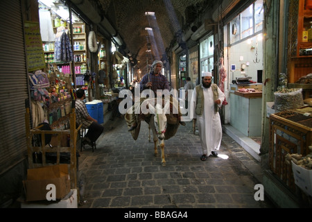 Alter Mann auf einem Esel in den Souk in der Altstadt von Aleppo Syrien Stockfoto