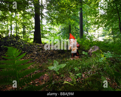 Ein Gartenzwerg im Wald Stockfoto