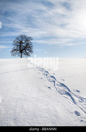Schnee-Schuh-Spuren im Schnee Stockfoto