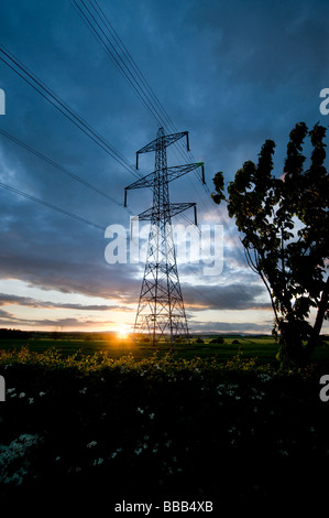 Strommast bei Sonnenuntergang Kreuzung Felder Stockfoto