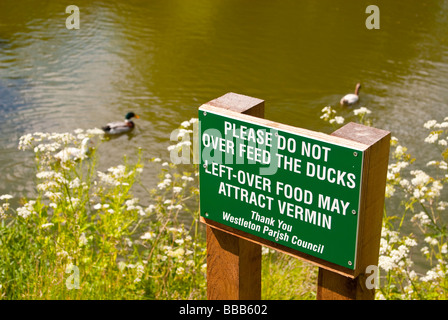 Ein Schild sagt zögern Sie bitte nicht zu füttern die Enten in den Dorfteich in Westleton, Suffolk, Uk Stockfoto