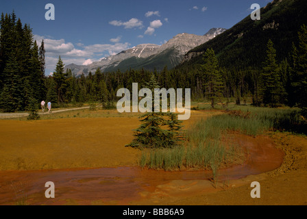 Kootenay Nationalpark, Kanadische Rockies, BC, British Columbia, Kanada - Paint Pots (Ocker Betten) im Sommer Stockfoto