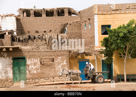 Ägypten Bauernhof Landwirtschaft Feld alte Bauerndorf auf dem Nil Fluß in der Nähe von Asyut Stockfoto