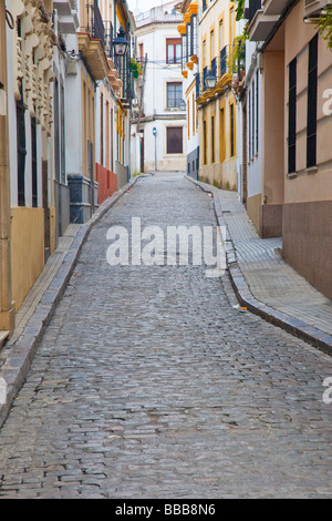 Schmale Gasse im jüdischen Viertel von Cordoba Spanien Stockfoto