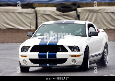 Ford Shelby Mustang GT500 Stockfoto