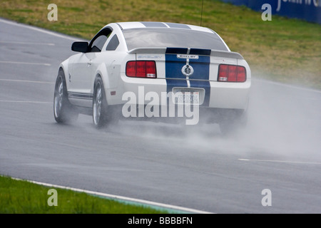 Ford Shelby Mustang GT500 auf nasser Strecke Stockfoto