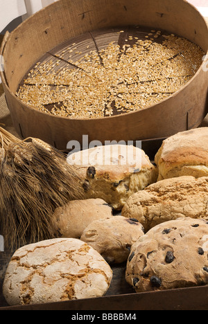 verschiedene Arten von traditionellen Brot Stockfoto