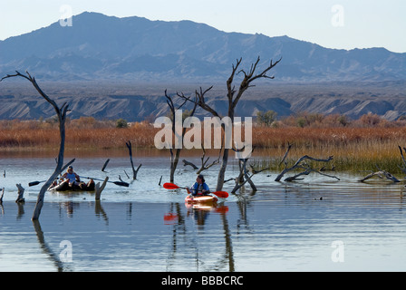 Kajakfahrer in der Schutzhütte Havasu National Wildlife Refuge Arizona USA Stockfoto