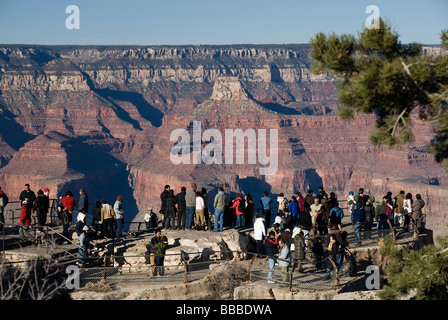 Besucher am Mather Point Grand Canyon National Park Arizona USA Stockfoto
