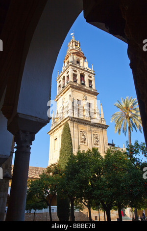 Toree del Alminar Glockenturm der Kathedrale von Cordoba und der Mezguita in Cordoba Spanien Stockfoto